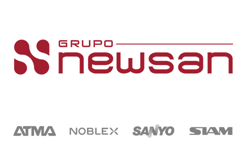 Grupo Newsan